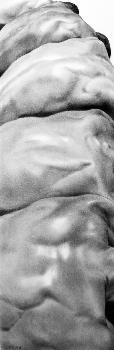 Bodyscape #2