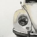 Little Yellow Bug