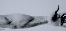 Within Reach