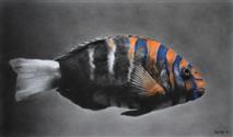 Water Colors #1